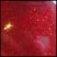 Stargazer Nail Polish - Glitter Red 148